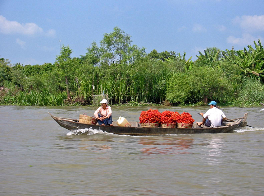 Douce Mekong Cruise : Cai Be - Sa Dec - Vinh Long - Tra On - Can Tho 3 days