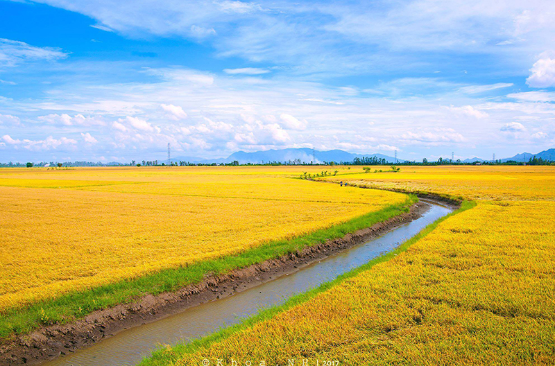 Mekong Delta Vibrates With Colour, Mekong Delta Travel Guide