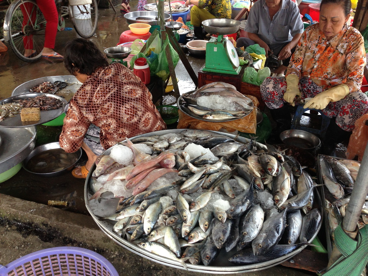 Mekong Delta experience 3 days, Ho Chi Minh - My Tho - Chau Doc - Tra Su - Can Tho